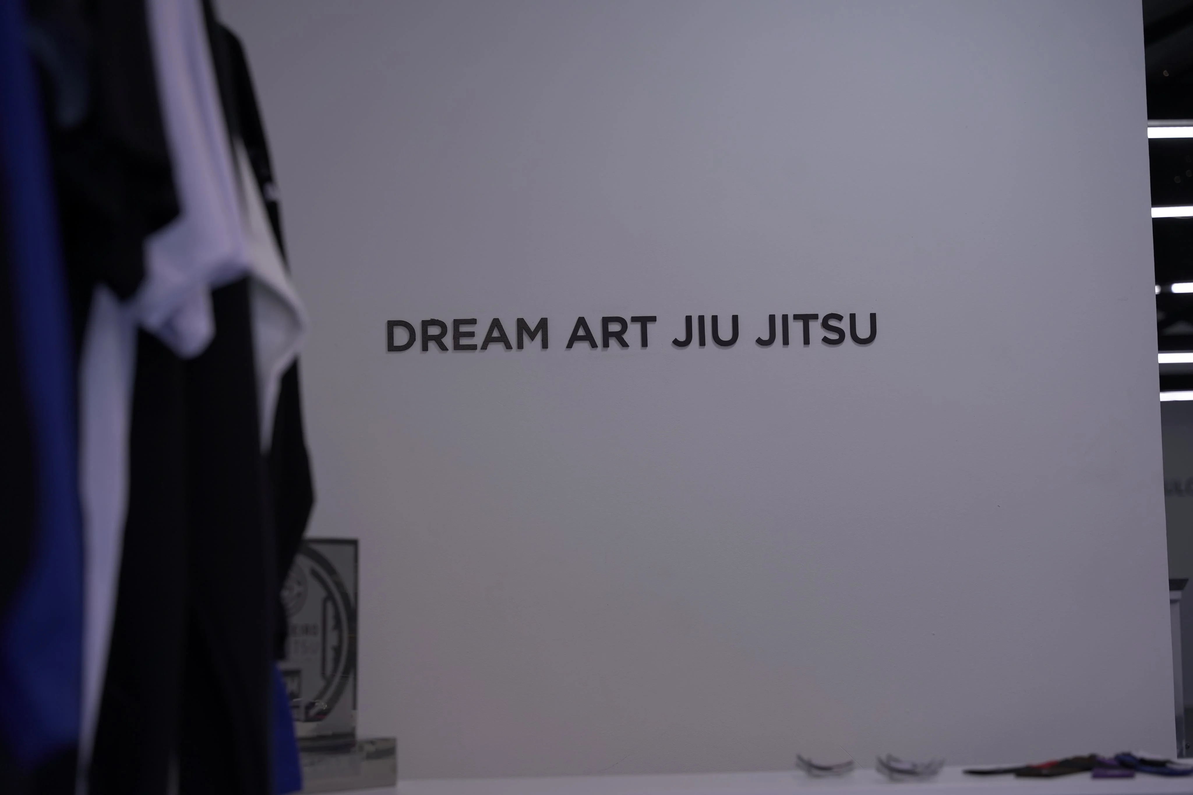 Identidade Dream Art Jiu-Jitsu